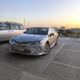 Toyota Camry 2019