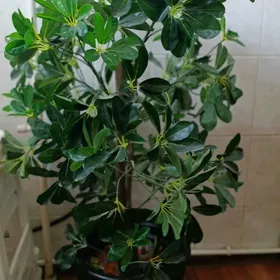 Искусственное дерево