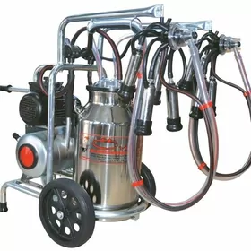 Sygyr sagylyan enjam