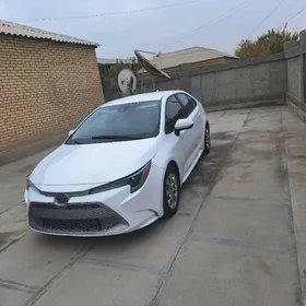 Toyota Corolla 2022