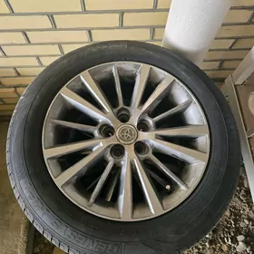 diska pakryşka karolla 16