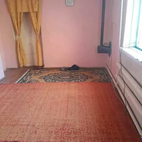 5 комнат пес джай прамзонада