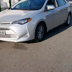 Toyota Corolla 2016