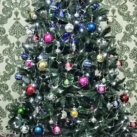 arça ýolka ёлка