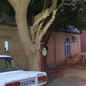 TUT AGAC KIME GEREK BOLSA MUGT