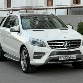 Mercedes-Benz ML350 2014