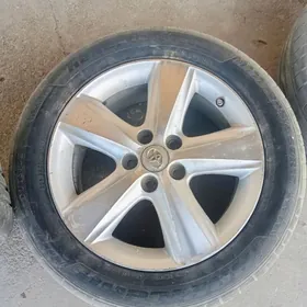 Öküz kele 17 diska