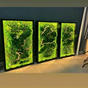 фитопанно или картина из мха