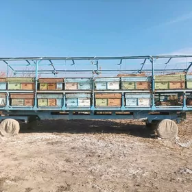 Прицеп для пчел. 32 ящик.