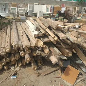 AGAÇ ALÝAN KUPIM POL LAMINANT