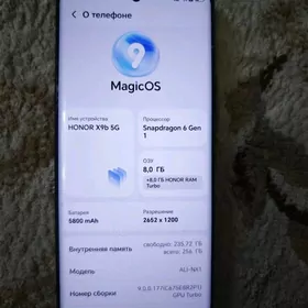 Honor X9b 5G 8/256