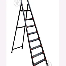 merduwan lesniça ELLEGANCE 