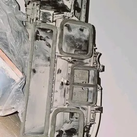 tarpedadaky klimat karopka