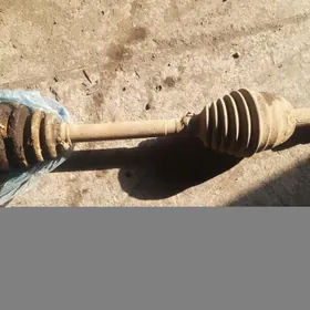 Carona.granaty.satlyk