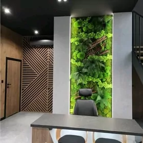 фитостены из растений