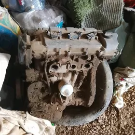 sieena zapjas diwigitel karopg