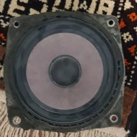 gapy kalonka tapeda misalka