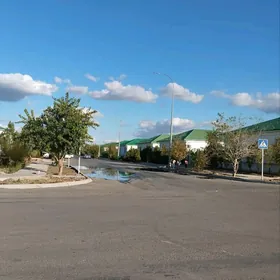 Taze Zaman ️тазе заман