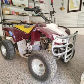 Yamaha Artistic 2005