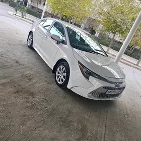 Toyota Corolla 2020