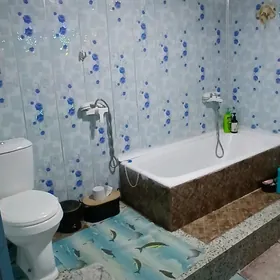 yeňişiň 50 ýyllygy