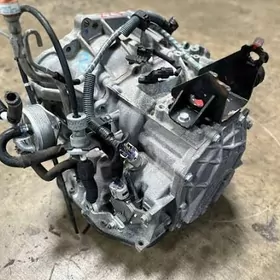 2010 Carolla karopga