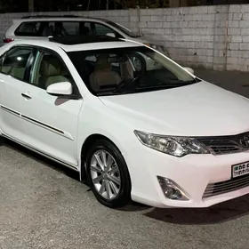 Toyota Camry 2013