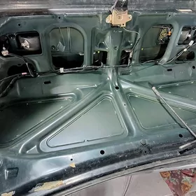 lisiçka bagajnik arassa morda