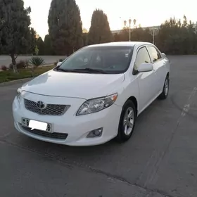 Toyota Corolla 2008
