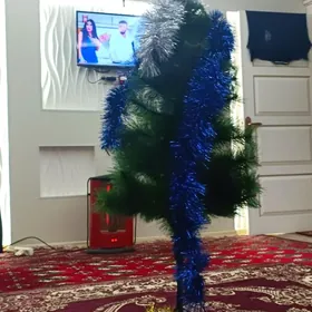 ARÇA (ÝOLKA) ARZAN