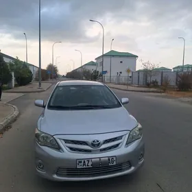 Toyota Corolla 2011