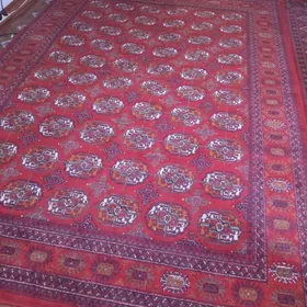 Бузмейин халы