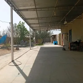 плановый дом