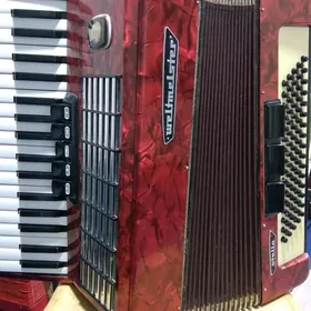 Akkordeon Akardeon