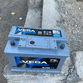 Vega akumlyator
