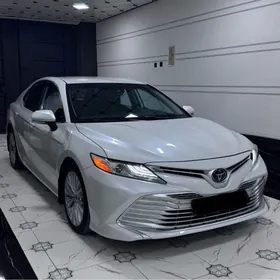 Toyota Camry 2019