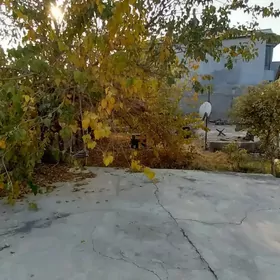 Чогонлы 7.5 сот