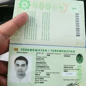 Pasport yitdi tapana bayrak 