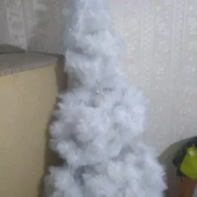 Елка белая пушистая