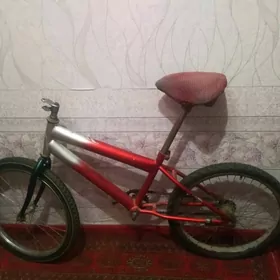 велик Браво