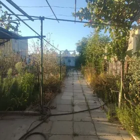 ДАЧА САГЛЫК DAÇA SAGLYK