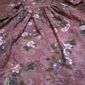 Вечерны койнек