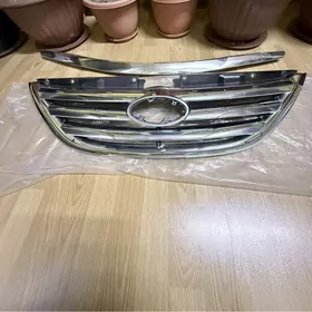 oblisowka Sonata 2012