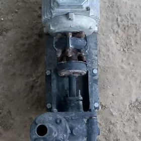 Suw nasos mangal farsunka