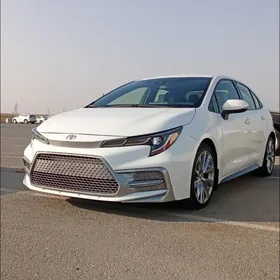 Toyota Corolla 2021