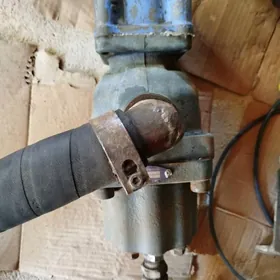 Ense wolwo we unwersal