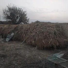 ot.jöwen. mellek oty.