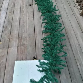 Ветки ёлочные