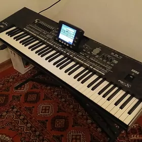 Korg pa x3 ulusy
