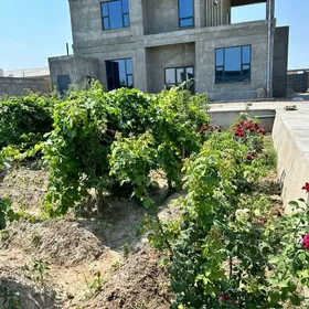 Киров Рухыет кошки 2эт Коттедж